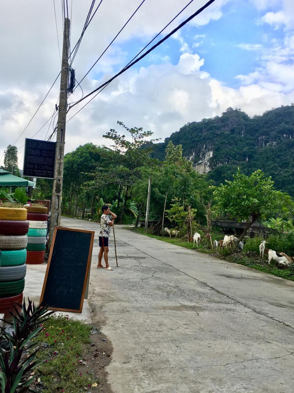 An Ngoc Tam Coc Bungalow Ninh Bình Ngoại thất bức ảnh